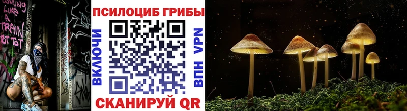 Псилоцибиновые грибы мицелий  мега рабочий сайт  Дорогобуж 