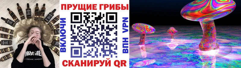 Галлюциногенные грибы MAGIC MUSHROOMS Дорогобуж